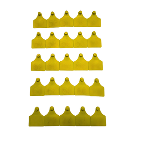 brinco amarelo sem fundo