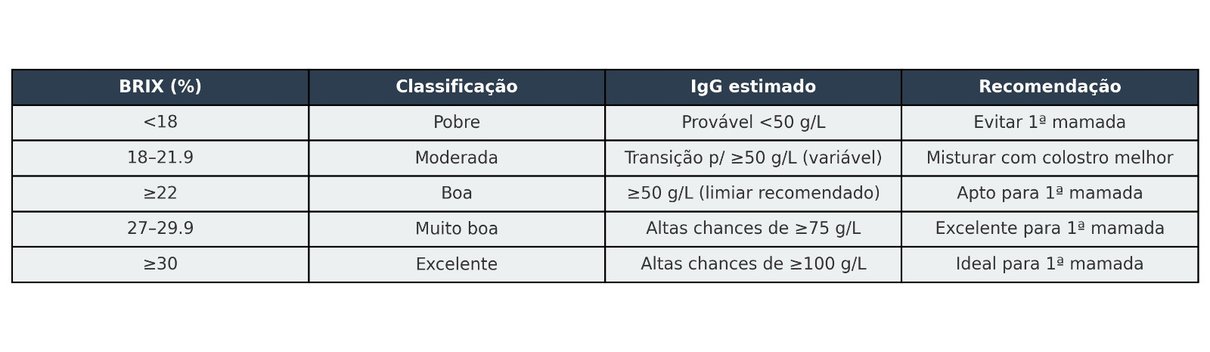 WhatsApp Image 2025 08 21 at 1646jpeg